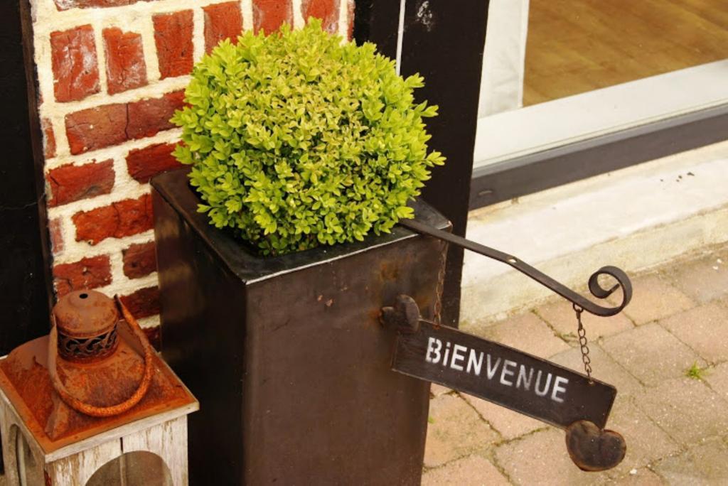 Chambres d'Hôtes La Parenthèse Wambrechies Extérieur photo